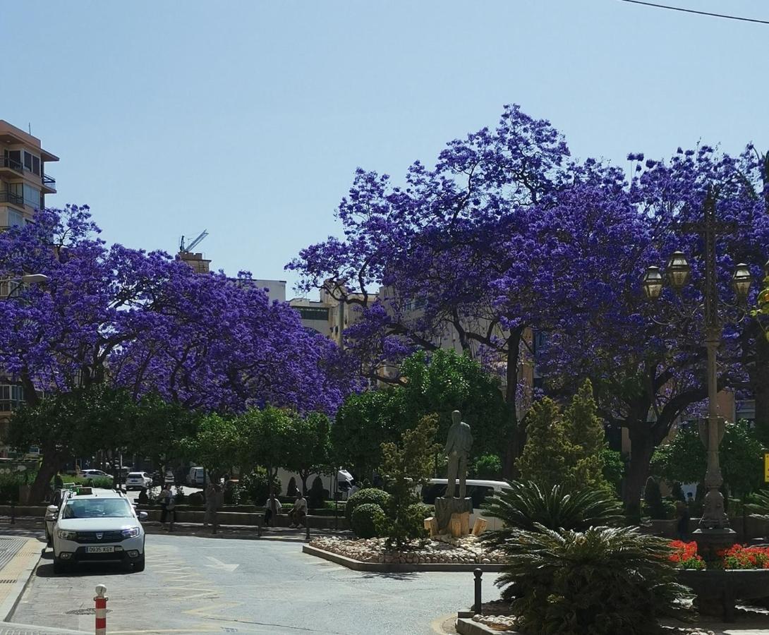 Encantador Bajo En มาลากา ภายนอก รูปภาพ